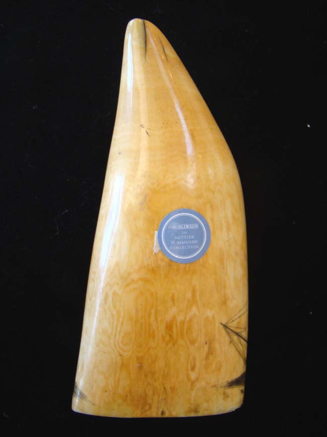 A fantastic large 19th century scrimshaw whale's tooth circa 1840 — image 2